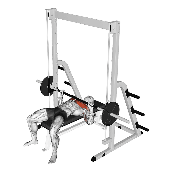 Demonstration of the smith bench press