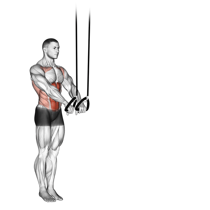 Demonstration of the simple style suspended abdominal fallout