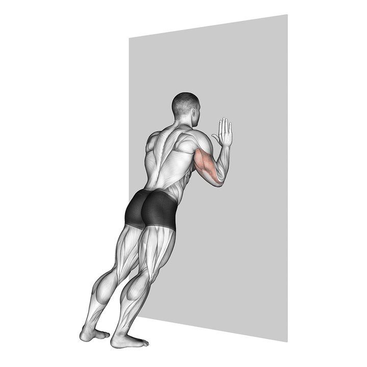 Demonstration of the push-up (wall) - elevated variation