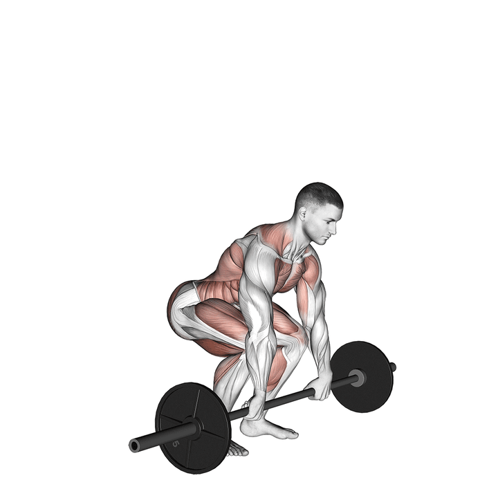 Demonstration of the power clean