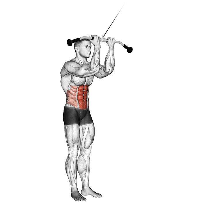 Demonstration of the cable standing crunch