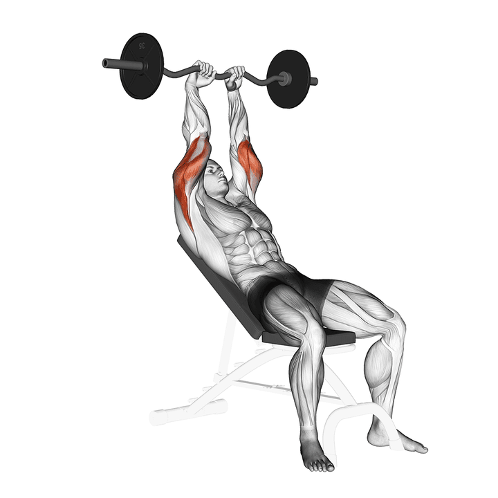 Demonstration of the ez barbell incline triceps extension