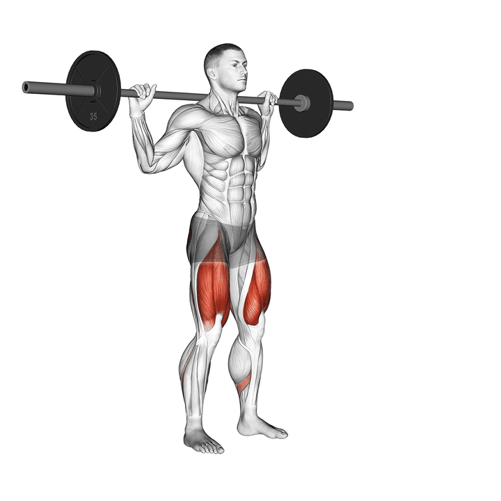 Demonstration of the barbell lateral lunge