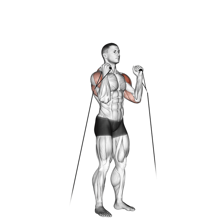 Demonstration of the cable alternate shoulder press