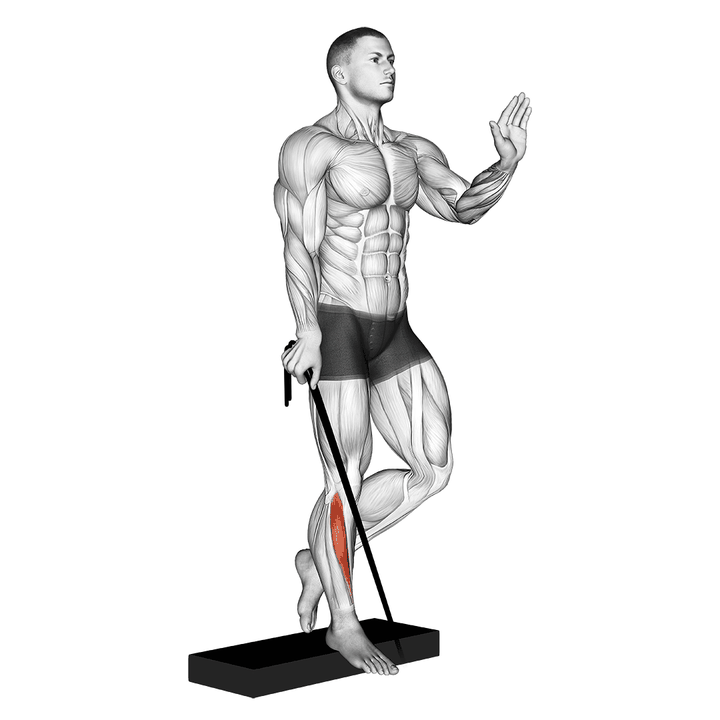 Demonstration of the band single leg reverse calf raise