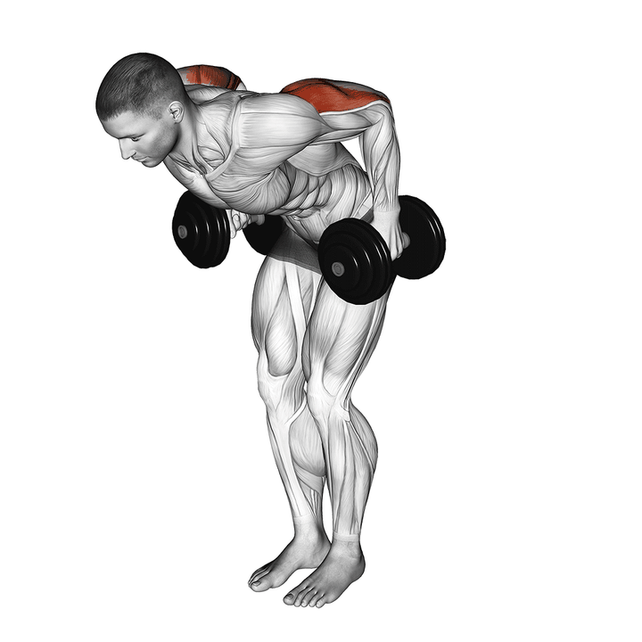 Demonstration of the dumbbell standing kickback