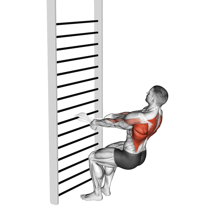 Demonstration of the bodyweight squatting row (with towel)