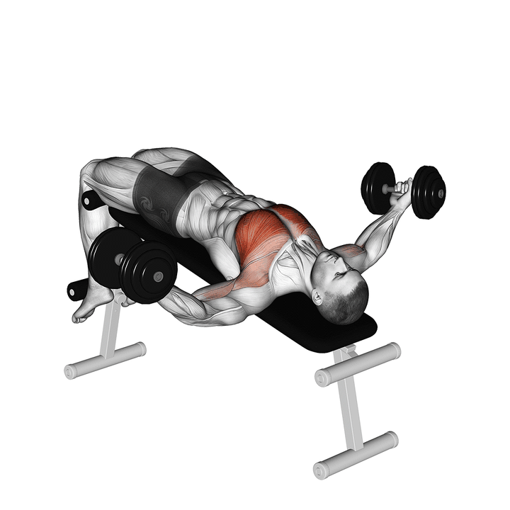 Demonstration of the dumbbell decline twist fly