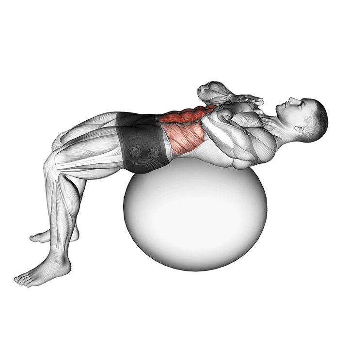 Demonstration of the crunch (on stability ball)