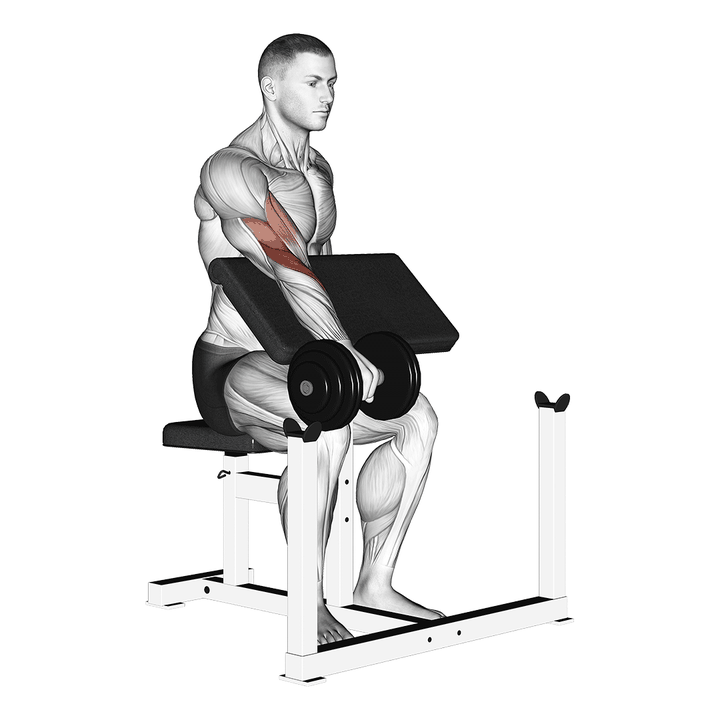 Demonstration of the dumbbell one arm reverse preacher curl