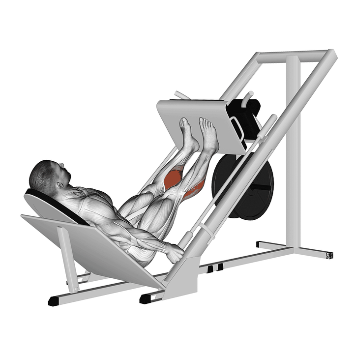 Demonstration of the sled 45ã‚â° calf press