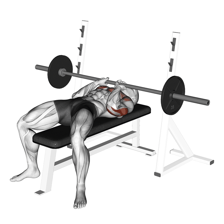 Demonstration of the barbell close-grip bench press
