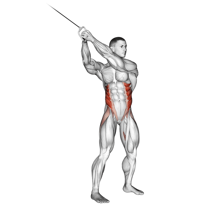 Demonstration of the cable twist (up-down)