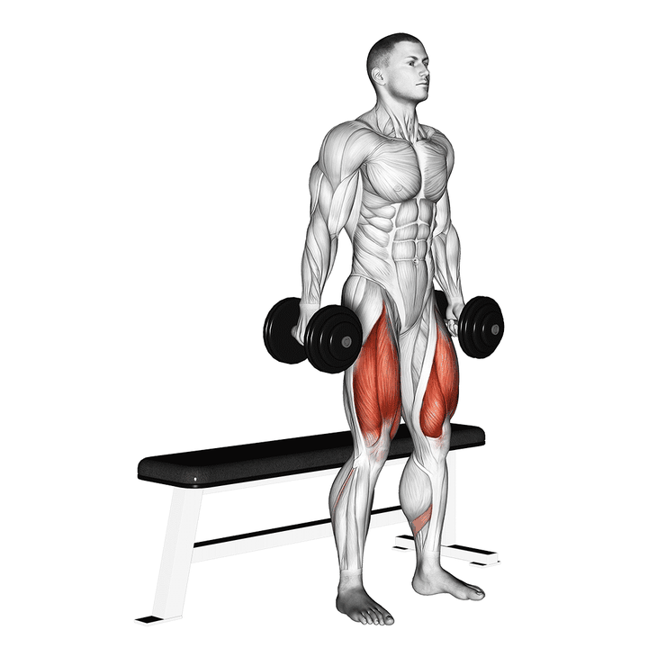 Demonstration of the dumbbell bench squat