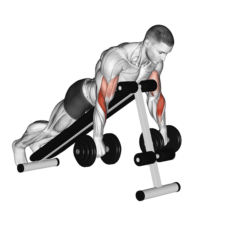 Demonstration of the dumbbell reverse spider curl