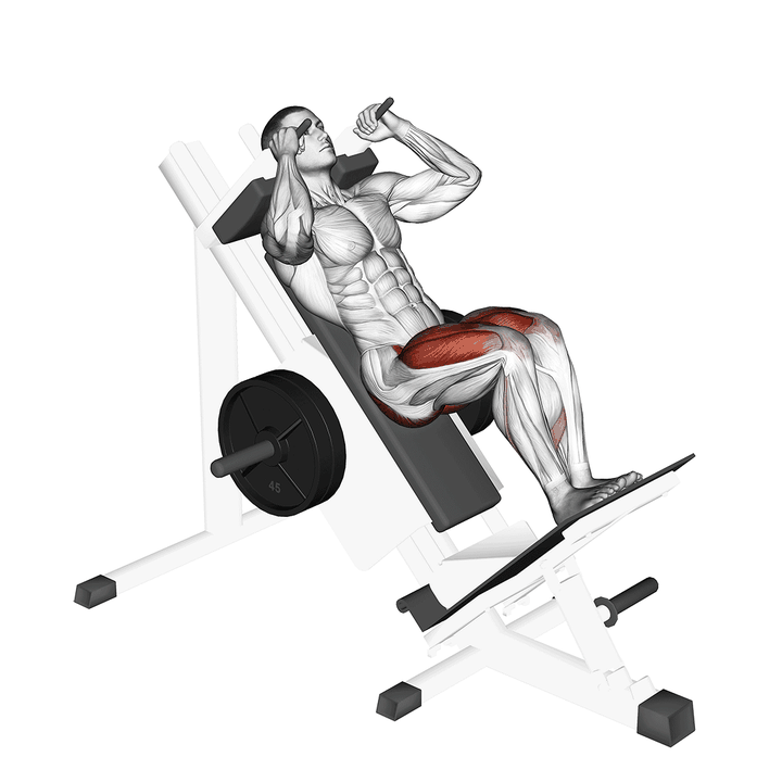 Demonstration of the sled closer hack squat
