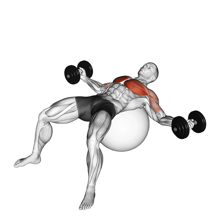 Demonstration of the dumbbell fly on exercise ball