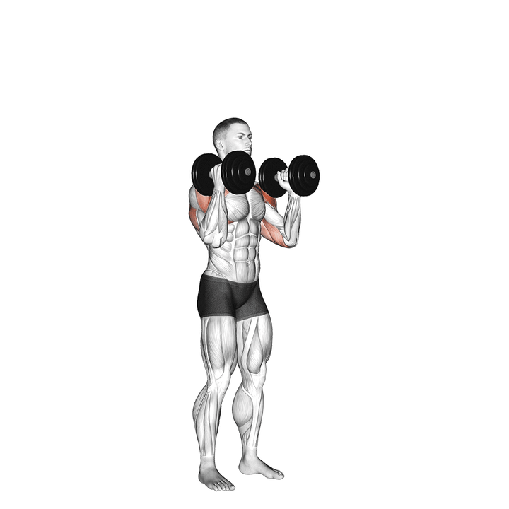 Demonstration of the dumbbell standing alternate overhead press