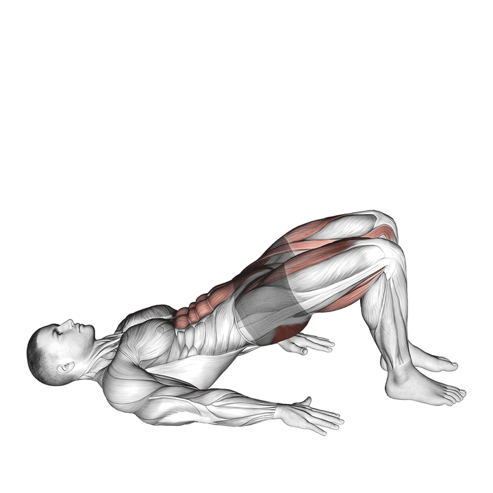 Demonstration of the glute bridge march