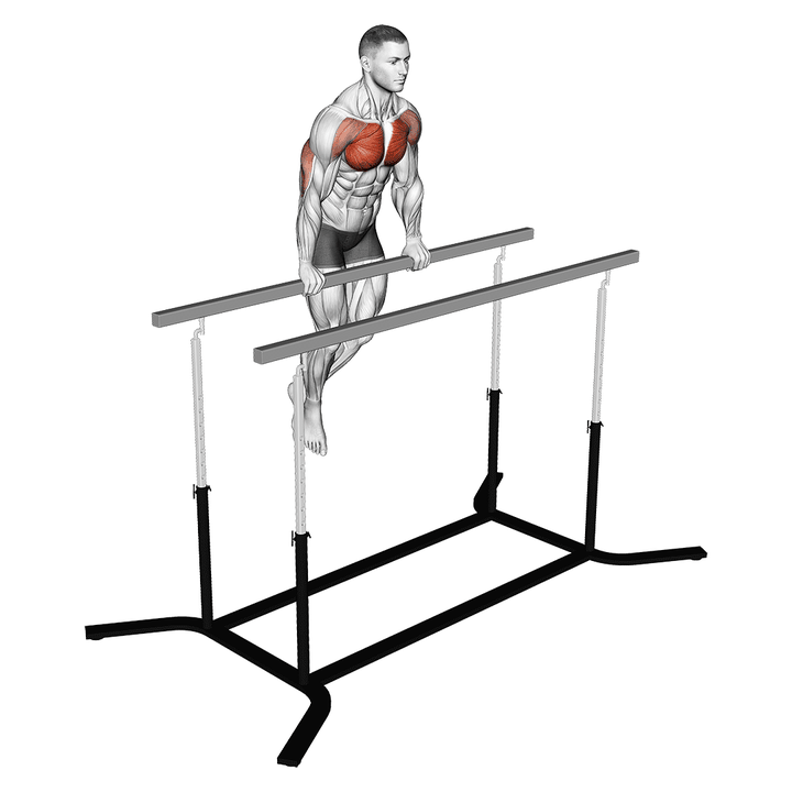 Demonstration of the chest dip on straight bar