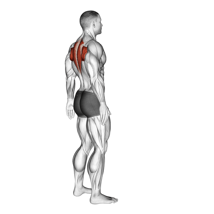 Demonstration of the upper back stretch