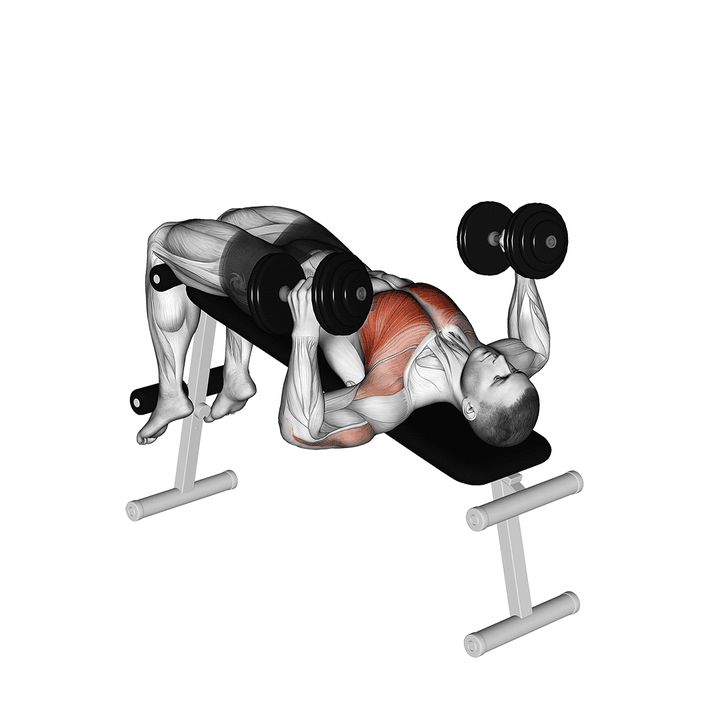 Demonstration of the dumbbell decline hammer press