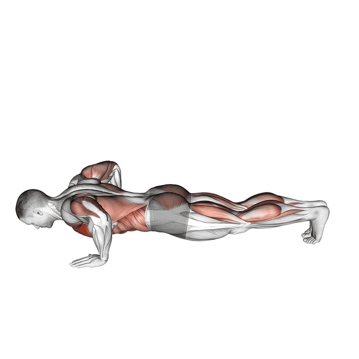 Demonstration of the modified hindu push-up (male)