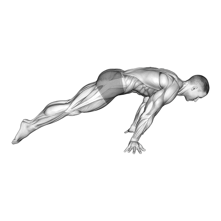 Demonstration of the lean planche
