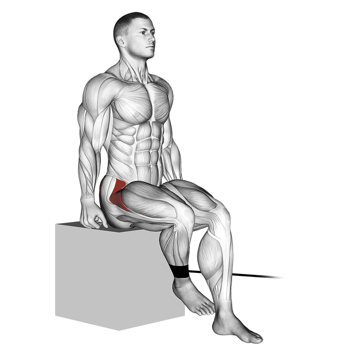 Demonstration of the band seated hip internal rotation
