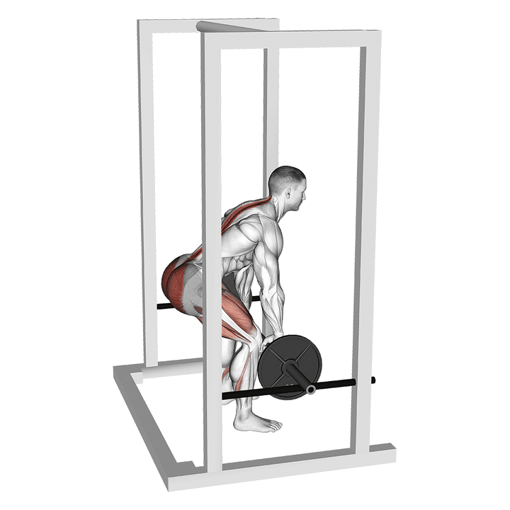 Demonstration of the barbell rack pull