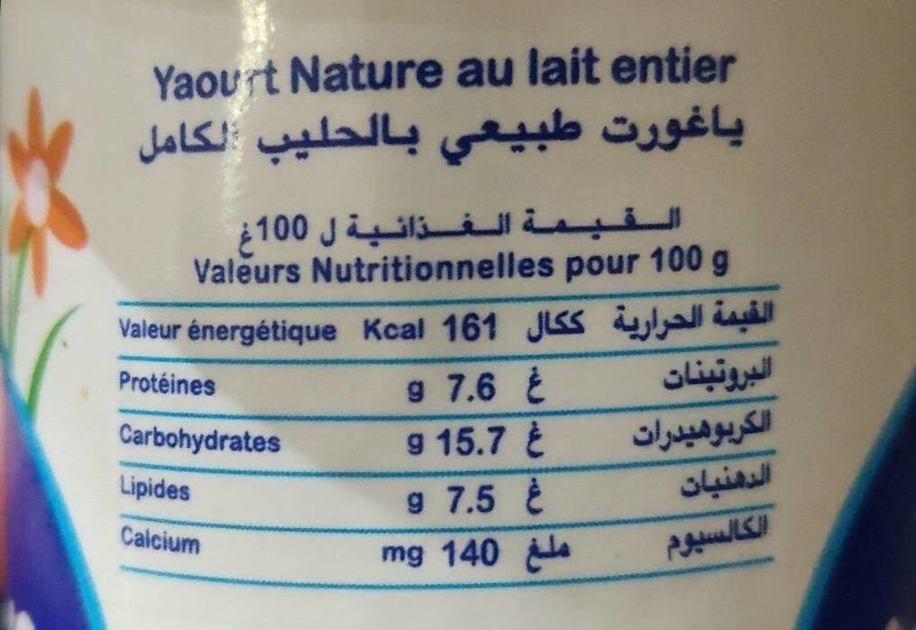 Jaouda Yaourt nature