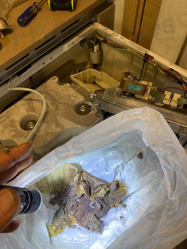 這部飛歌牌洗衣機的烘乾功能為何只吹冷風？維修後的意外收穫 💨