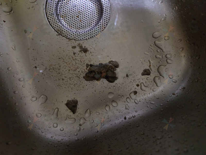 0E和1E故障碼同時出現，這部LG WF系列洗衣機的水位感應系統竟被這樣堵塞 🔍