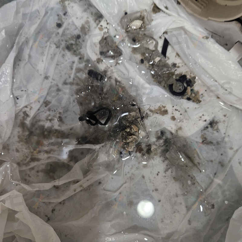 閒置3年後現E03和E20,這部Candy洗衣機過濾器裡藏了什麼? 🪙