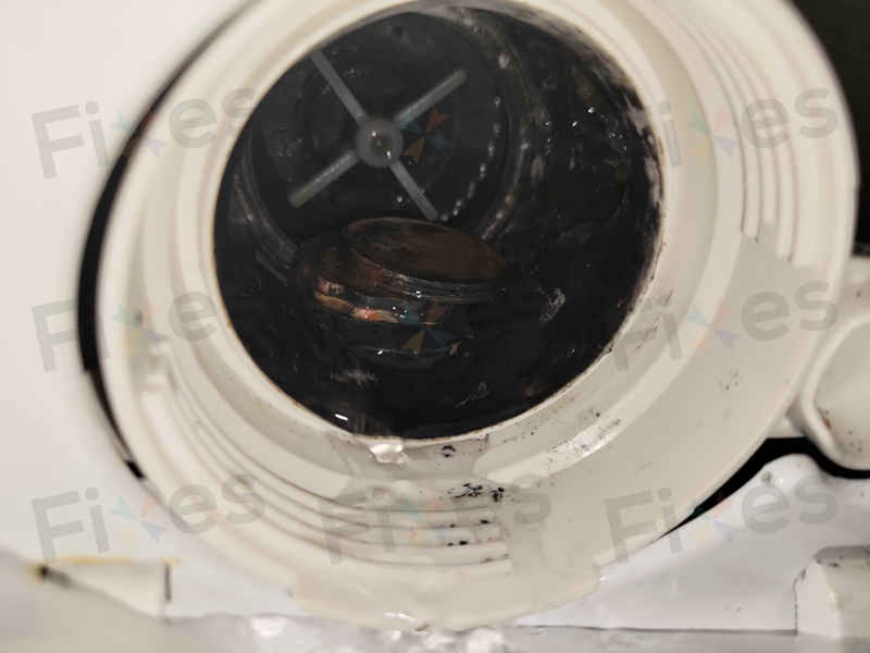 洗衣機變身「儲錢罐」？40枚硬幣卡住的驚人發現 💰
