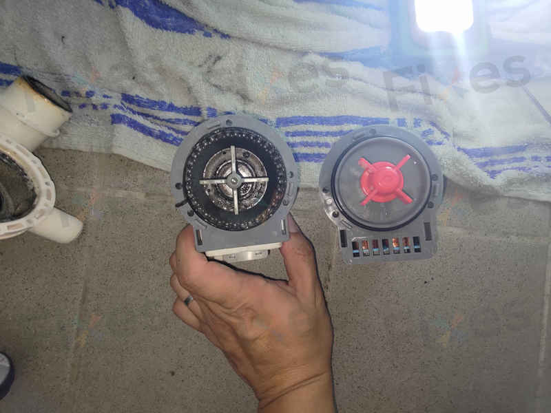 洗衣機變身「儲錢罐」？40枚硬幣卡住的驚人發現 💰