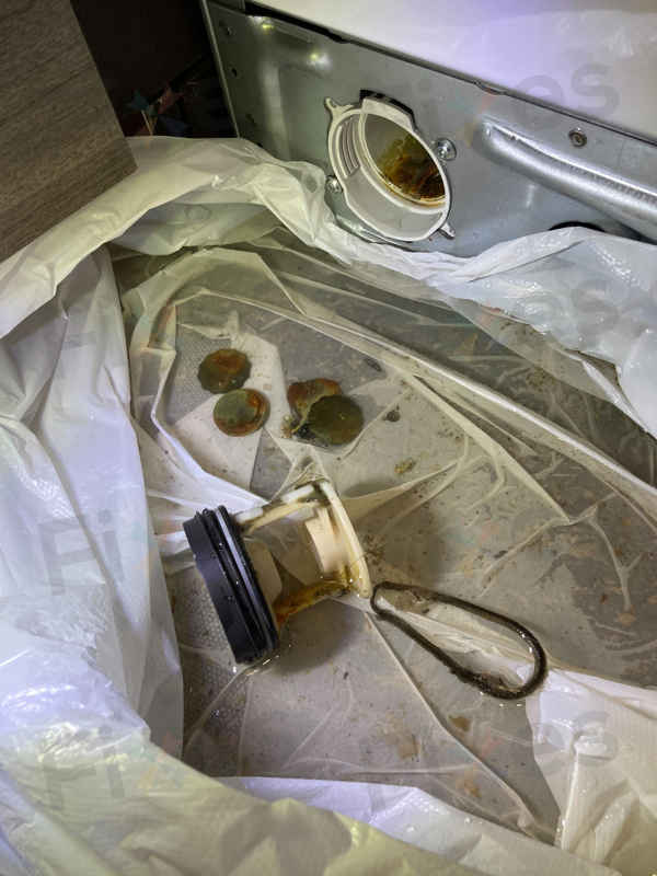 搬進新居驚喜連連：Gorenje洗衣機的E06故障碼背後藏著什麼？🏠