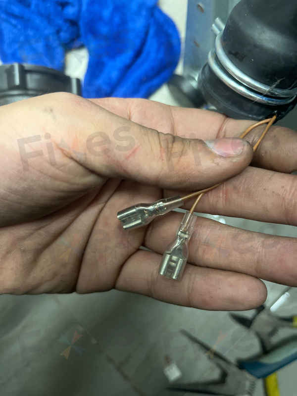 一張吸色紙卡住排水出口，這部西門子WD系列洗衣機E06故障如何快速解圍💧