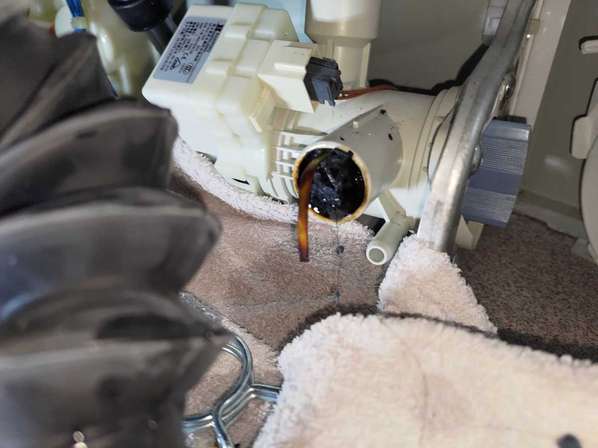髮夾硬幣卡住排水系統,西門子洗衣機E18故障真相大白 🧾