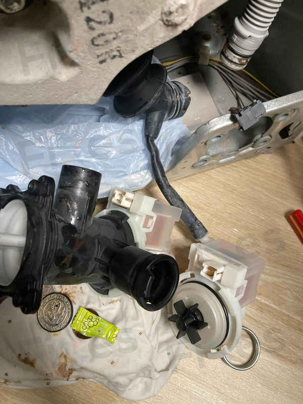 從自助清潔到專業維修：這位西門子WU系列洗衣機用戶的明智選擇 💡