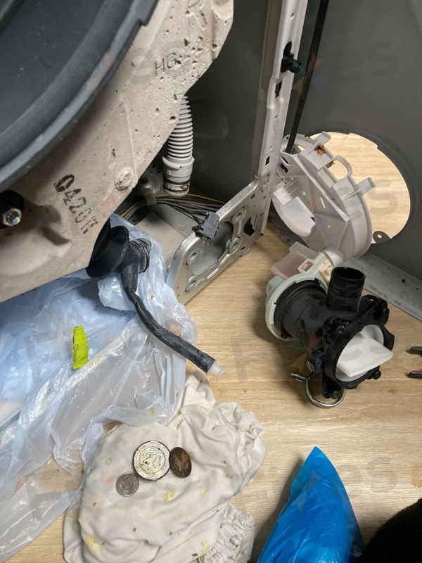 從自助清潔到專業維修：這位西門子WU系列洗衣機用戶的明智選擇 💡