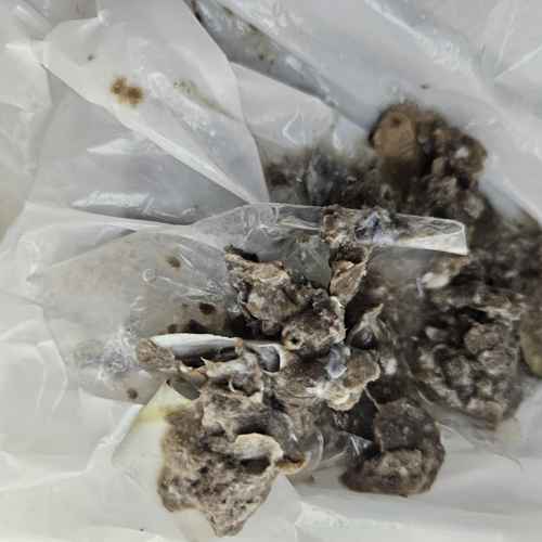 洗衣口袋硬幣卡住，這部Candy洗衣機E20故障碼無法排水🤔