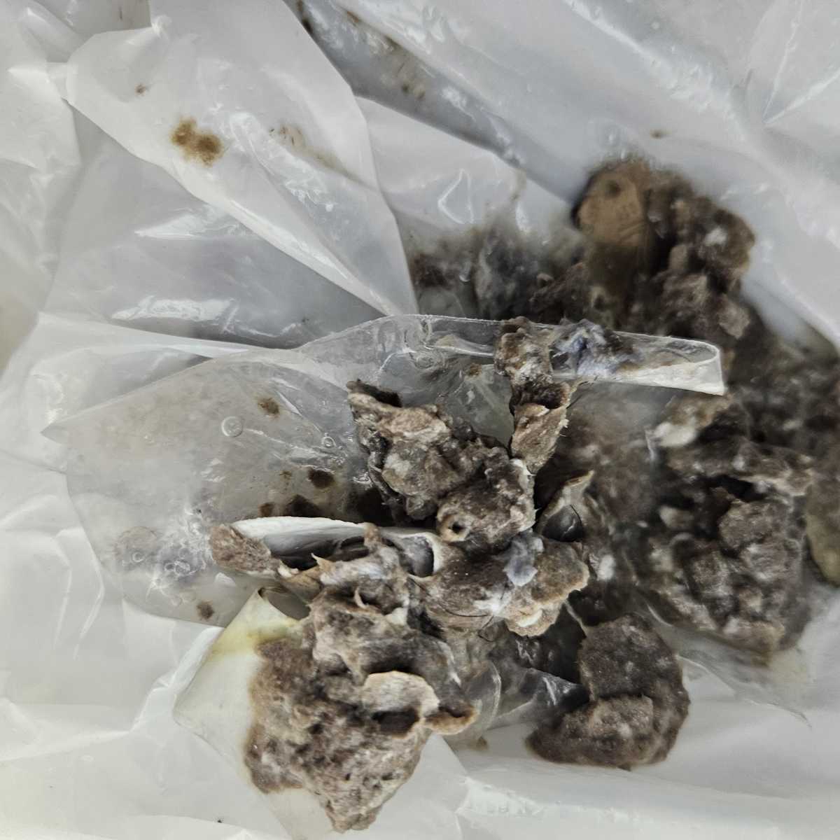洗衣口袋硬幣卡住，這部Candy洗衣機E20故障碼無法排水🤔