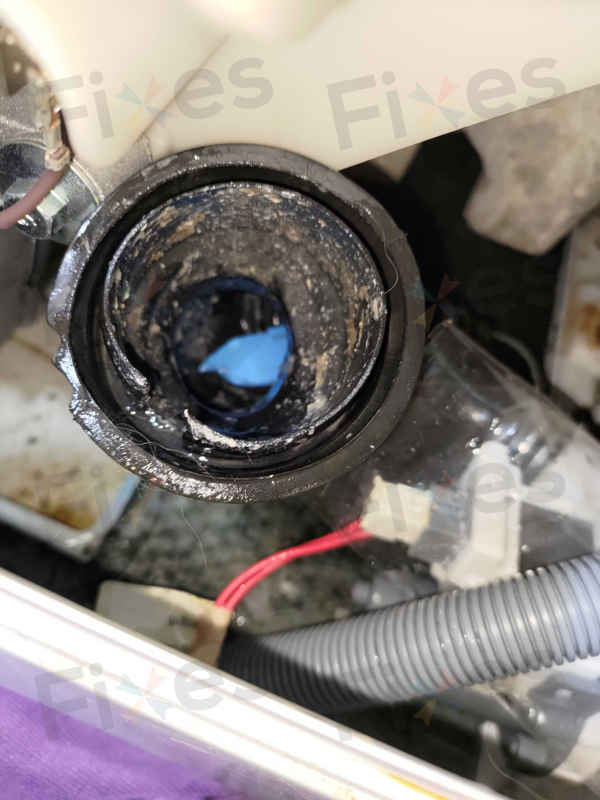 出現故障碼E20，無法排水🔧Candy金鼎牌上置式洗衣機 CVFTGP384TMHUK
