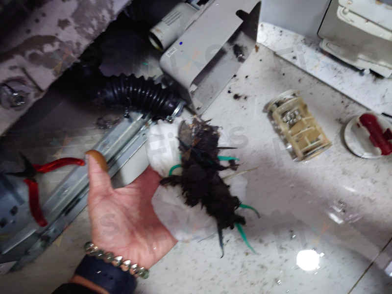 這部Zanussi ZKN系列洗衣機E20故障現場:50支牙線竟成排水主兇🦷
