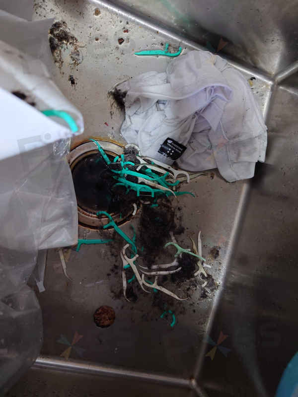 這部Zanussi ZKN系列洗衣機E20故障現場:50支牙線竟成排水主兇🦷