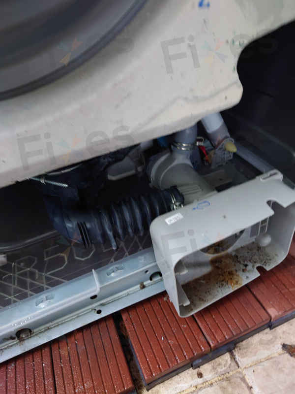 這部Zanussi ZWH系列洗衣機E20停機,師傅清理堵塞並更換排水泵全過程⚙️