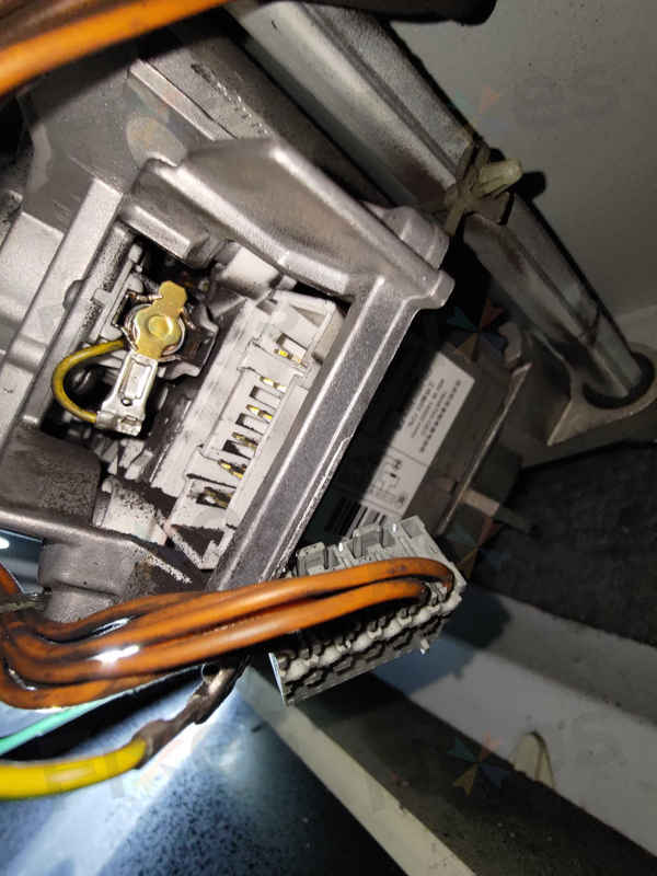出現故障碼E21，解決碳刷問題😊Siemens西門子前置式洗衣機 WD12D460HK/07