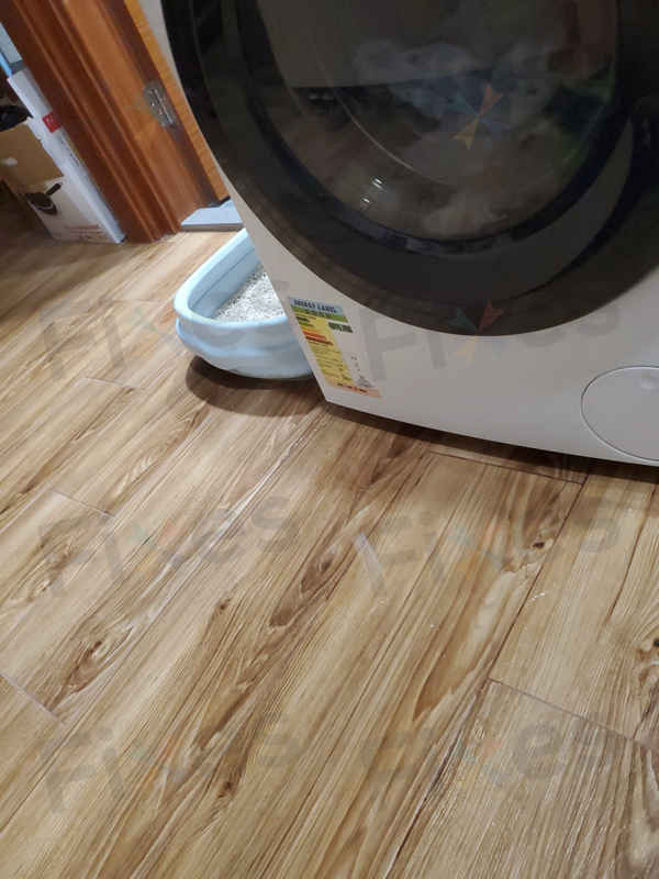西門子洗衣機E21故障碼?看看這個成功維修案例 🛠️