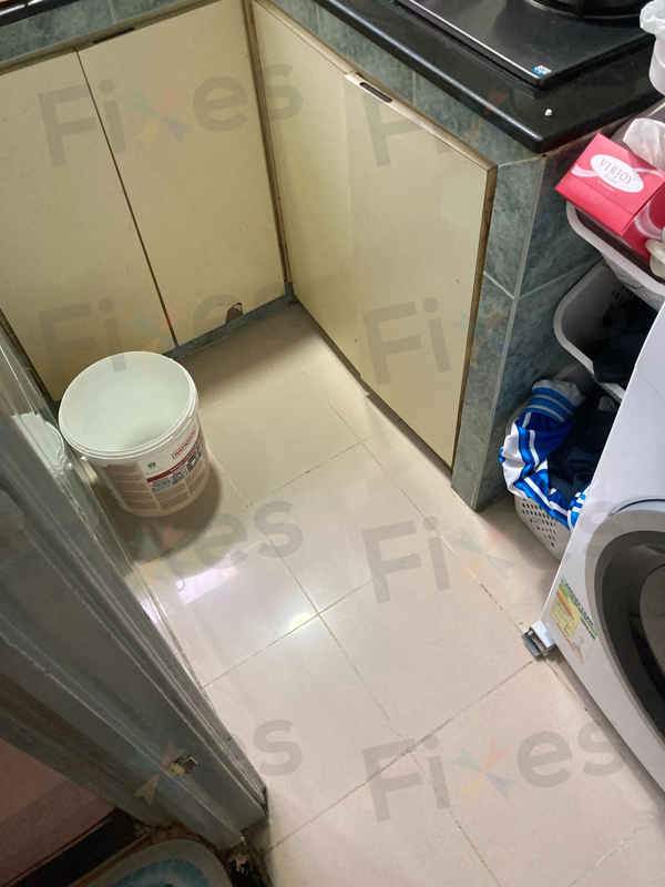 一加水立刻罷工？E21故障揭示這部西門子WD系列洗衣機排水泵老化之謎🔍
